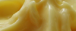 Rheology of Puddings